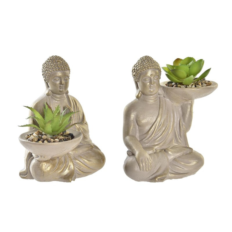 Buda Gatt Zen
